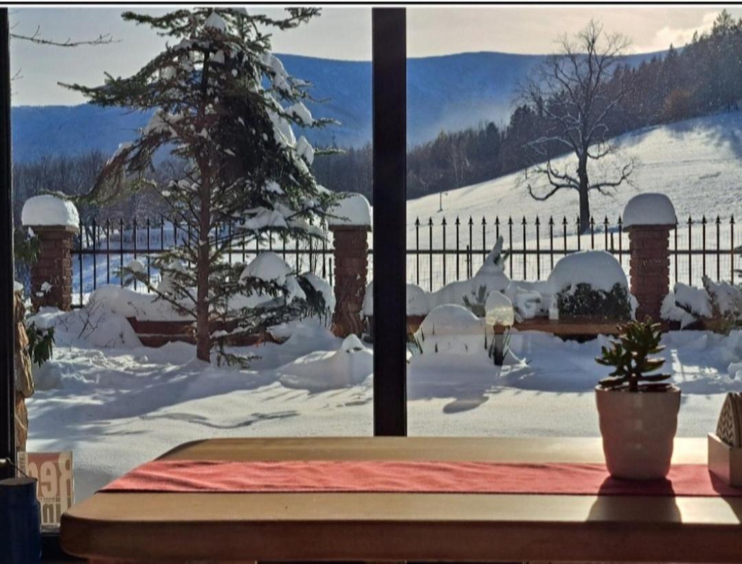 Gorski Widok Karpacz Apartamenty I Pokoje- Salon Kominkowy Luaran gambar