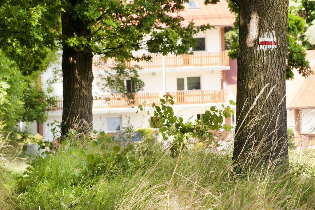 Gorski Widok Karpacz Apartamenty I Pokoje- Salon Kominkowy Luaran gambar